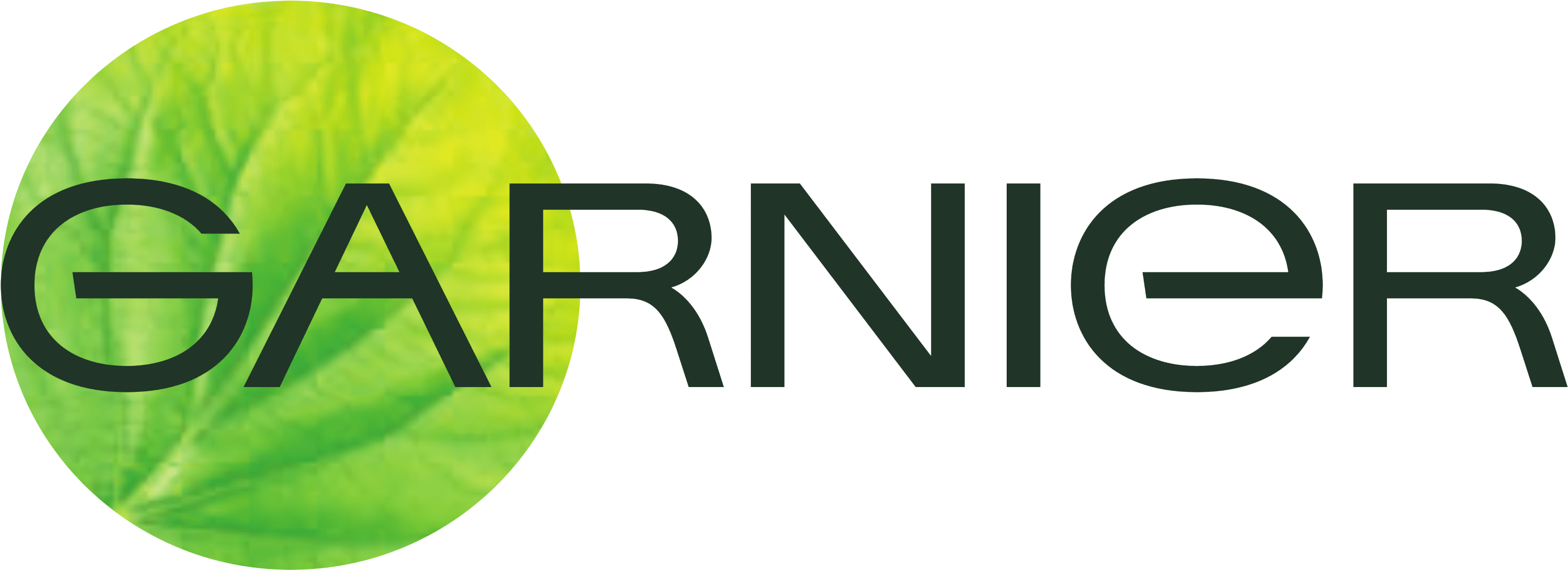 Garnier Logo